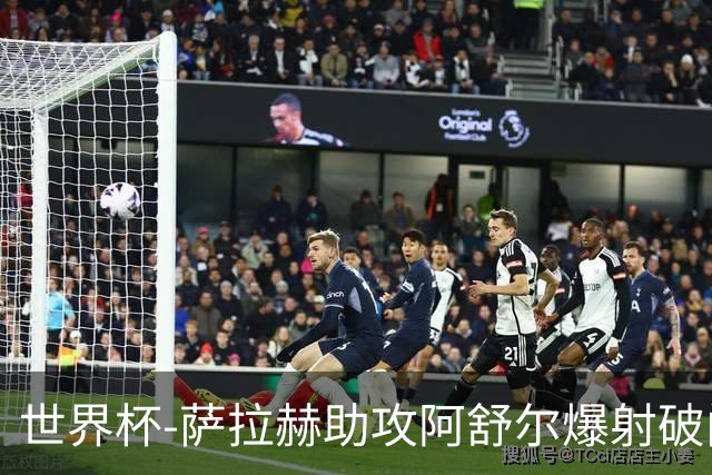 世界杯-萨拉赫助攻阿舒尔爆射破门 埃及半场1-0比利时